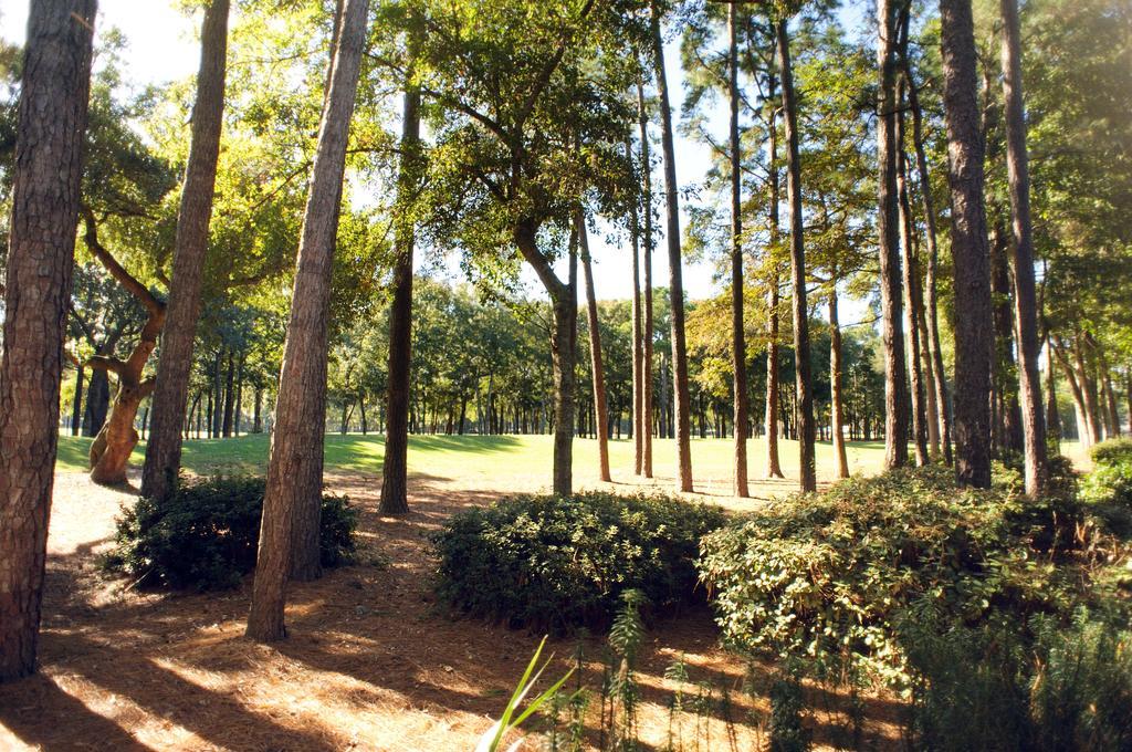 Pawleys Plantation Golf & Country Club Hotel Pawleys Island Eksteriør billede
